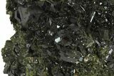 Lustrous, Epidote Crystal Cluster on Actinolite - Pakistan #164850-4